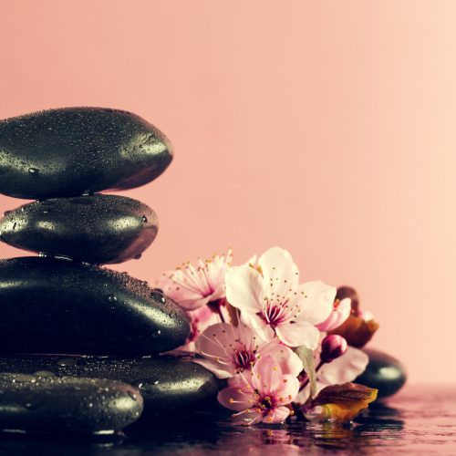 Beautiful pink Spa Flowers on Spa Hot Stones on Water Wet Background. Side Composition. Copy Space. Spa Concept. Dark Background.